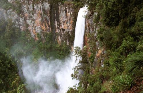 Springbrook Cabin | Springbrook Lyrebird Retreat