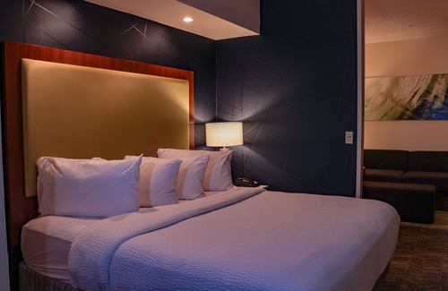 Scotlandville Hotel | SpringHill Suites by Marriott Baton Rouge North/Airport