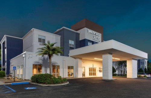 South Baton Rouge Hotel | SpringHill Suites by Marriott Baton Rouge South