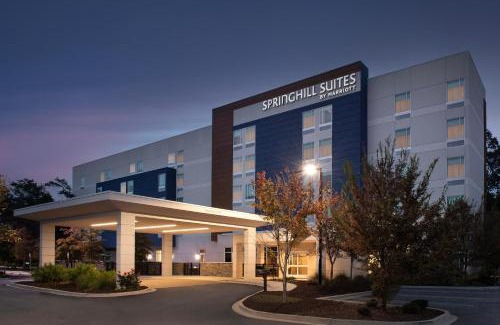North Charleston Hotel | SpringHill Suites By Marriott Charleston Airport & Convention Center