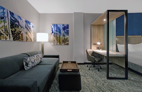 Franklin Hotel | SpringHill Suites by Marriott Franklin Cool Springs