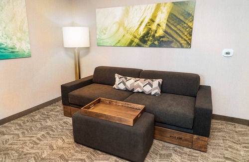 Newark Hotel | SpringHill Suites by Marriott Newark Fremont