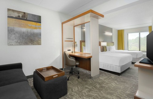 Athens Hotel | SpringHill Suites by Marriott Athens West