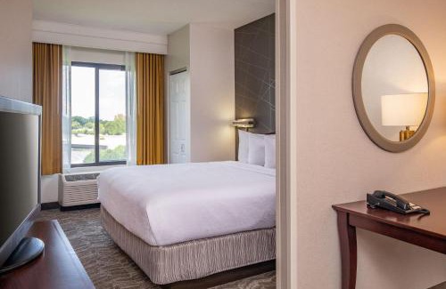 Norfolk - Virginia Beach Hotel | SpringHill Suites by Marriott Norfolk Virginia Beach