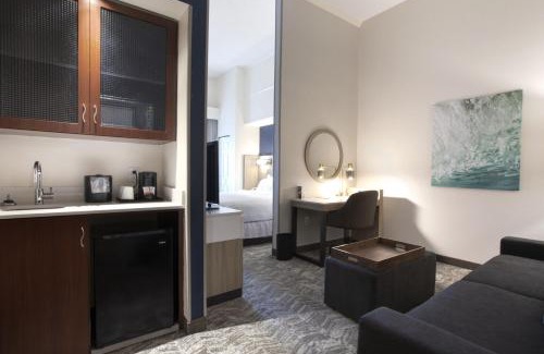 Eden Hotel | SpringHill Suites Savannah Airport