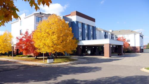 St. Louis Park Hotel | SpringHill Suites Minneapolis West St. Louis Park