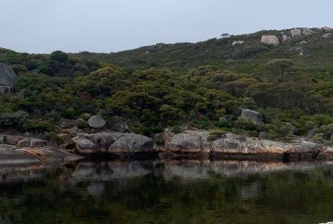 Scotsdale House | Springwood Cottage