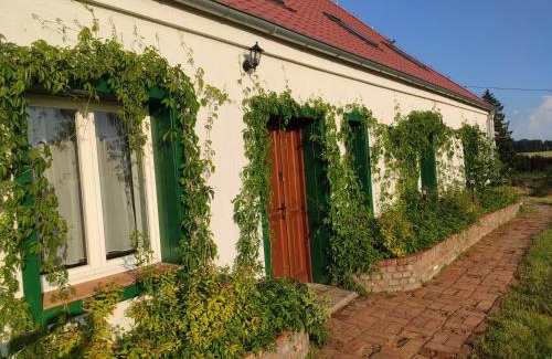 gmina Srokowo House | Srokowski Dwór 1 - Mazurski Dwór - 450m2