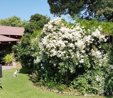 Curico Bed & Breakfast | Sta. Marta B&B