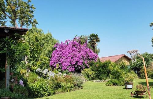 Curico Bed & Breakfast | Sta. Marta B&B