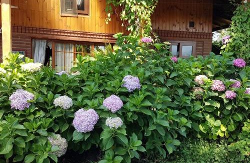 Curico Bed & Breakfast | Sta. Marta B&B