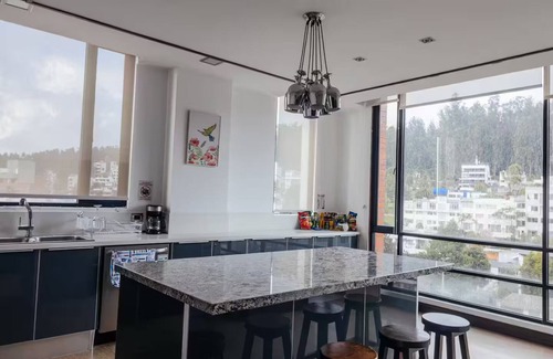 Financial District Apartment | Stadium View Executive Penthouse Airport Pickup