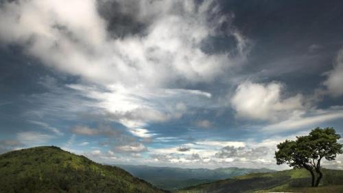 Chikkamagaluru Resort | Stanley Revelation