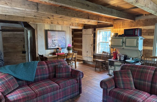Muncy Cabin | Stay in a Modernized 1800's Historic Log Cabin for Little League World Series!
