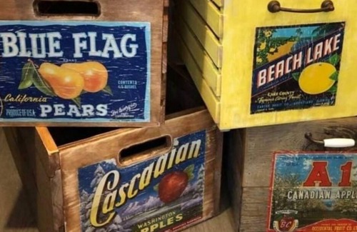 Squamish-Lillooet Regional District House | Stay Wild Tiny Home