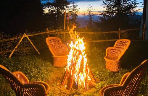 Mashobra Hotel | Staycation Premium Mashobra - A Nature Valley Retreat Resort