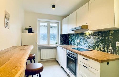 Bad Reichenhall Apartment | StayNature 2BR App. Altstadt