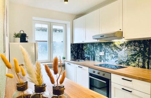 Bad Reichenhall Apartment | StayNature 2BR App. Altstadt