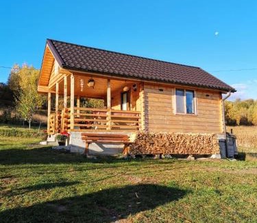Feleacu Villa | Stefana's Tiny House Nature Retreat