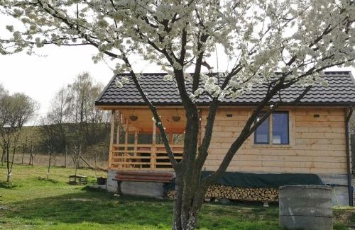 Feleacu Villa | Stefana's Tiny House Nature Retreat