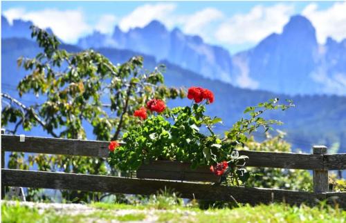Renon House | Stierlhof Ritten
