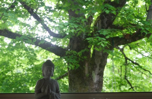 Morizes House | stone house with contemporary renovation