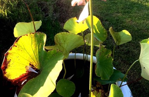 Donghe House | Stone Party