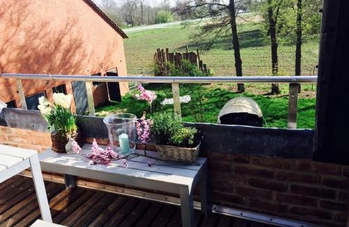 Huede Apartment | Storchennest am Dümmer