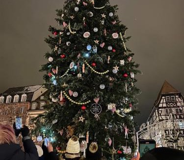 Esplanade Apartment | Strasbourg Apartment with parking