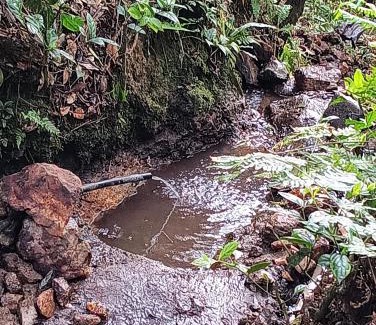 Nova Nazare Ski Chalet | Studio Árvore da vida