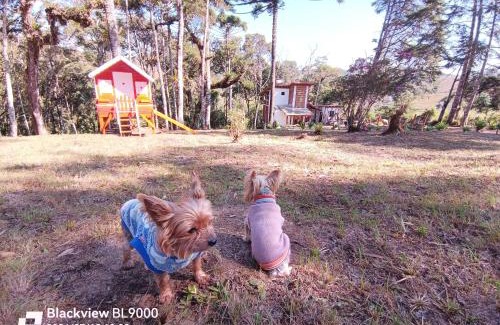 Nova Nazare Ski Chalet | Studio Árvore da vida