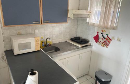 Carosse Apartment | Studio 40m2 Saint Gilles Les Bains