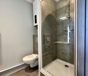 Vandoeuvre-les-Nancy Apartment | Studio 65 Rénové et Équipé - Nancy Brabois proche CHRU,CESI,FAC