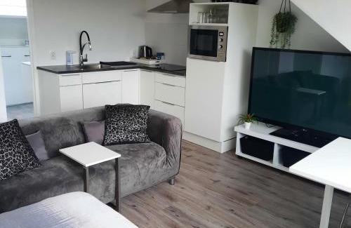 Municipality of Groningen House | Studio 76 Groningen met gratis leenfietsen