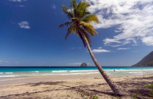 Le Diamant Apartment | Studio A101, près de la mer Village du Diamant