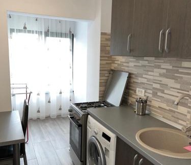 Ramnicu Valcea Apartment | Studio Andrei Râmnicul Vâlcea