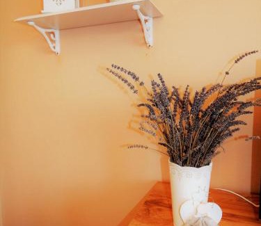 Varazdin Apartment | Studio APARTMAN TVRTKO