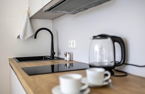 Furstenfeldbruck District Apartment | Studio Apartment 'Huber Living Basic 106' with Balcony and Wi-Fi