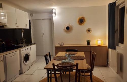 Les Carroz-d'Araches Apartment | Studio avec petit balcon et cheminée - Grand Massif
