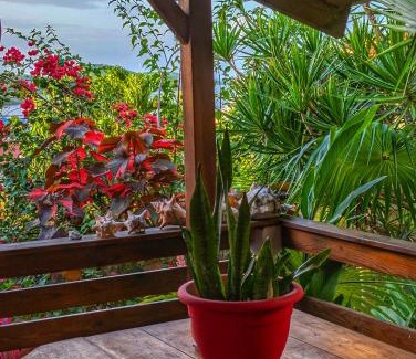 Le Vauclin Apartment | Studio Bwa Banbou dans Villa Fleurs des Iles