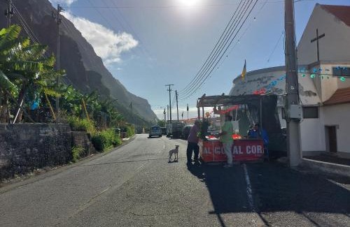 Prazeres Apartment | Studio Casa Tropicana