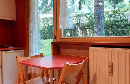 Chamonix City Centre Apartment | Studio Chamonix rénové, proche centre et télécabine, animaux admis, parking - FR-1-517-3