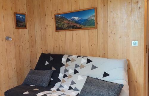 Chamonix City Centre Apartment | Studio Chamonix rénové, proche centre et télécabine, animaux admis, parking - FR-1-517-3