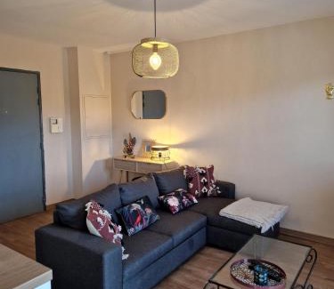 Sarrola-Carcopino Apartment | Studio Climatisé Parking Gratuit