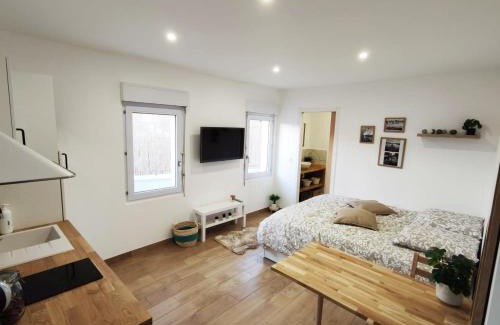 Saint-Denis-de-l'Hotel Apartment | Studio cosy Bienvenue chez Elle