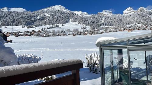 Leysin Apartment | Studio dans un chalet avec jardin privatif