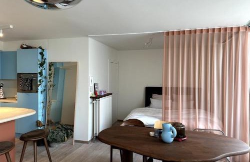 Kunstenkwartier Apartment | Studio downtown Gent