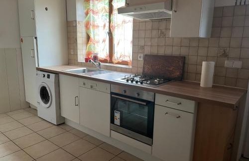 Wingen Apartment | Studio duplex - GR