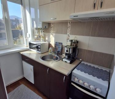 Emanoil Gojdu Apartment | Studio Elvetia