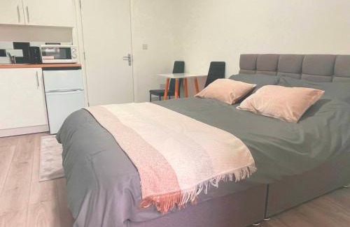 Tottenham Green Apartment | Studio Flat Private Shower Wc and Kitchenette